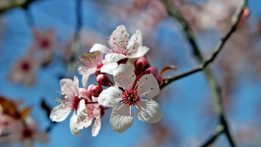 Ето какво ще бъде времето днес