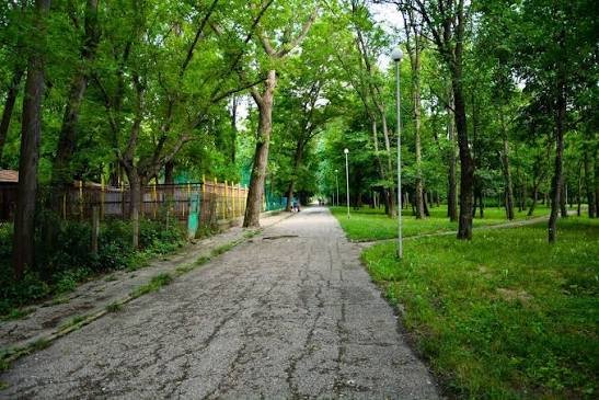 Северният градски парк в Разград се променя: започна засаждане на над 100 нови дървета и храсти