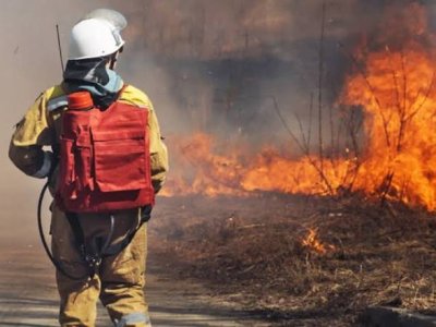 Два пожара в Разградско: Сигналите са от градовете Завет и Разград