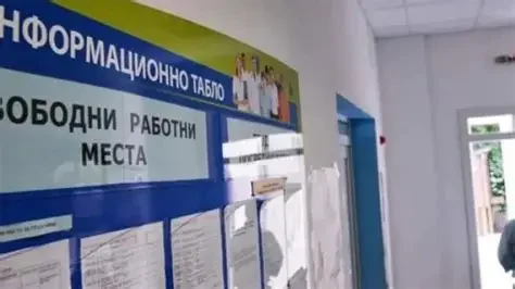 Свободни работни места в Разградско: търсят шофьори, готвачи и фармацевти (30 март 2026)