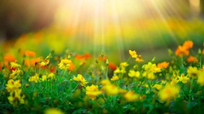 Слънце над Разград: до 15&deg; и почти без шанс за валежи на 25 март