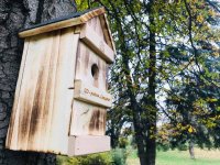 Първокласници и седмокласници в Разград строят домове за птици: урок по екология извън класната стая